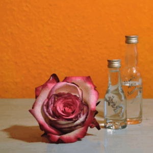 Rose Oil
